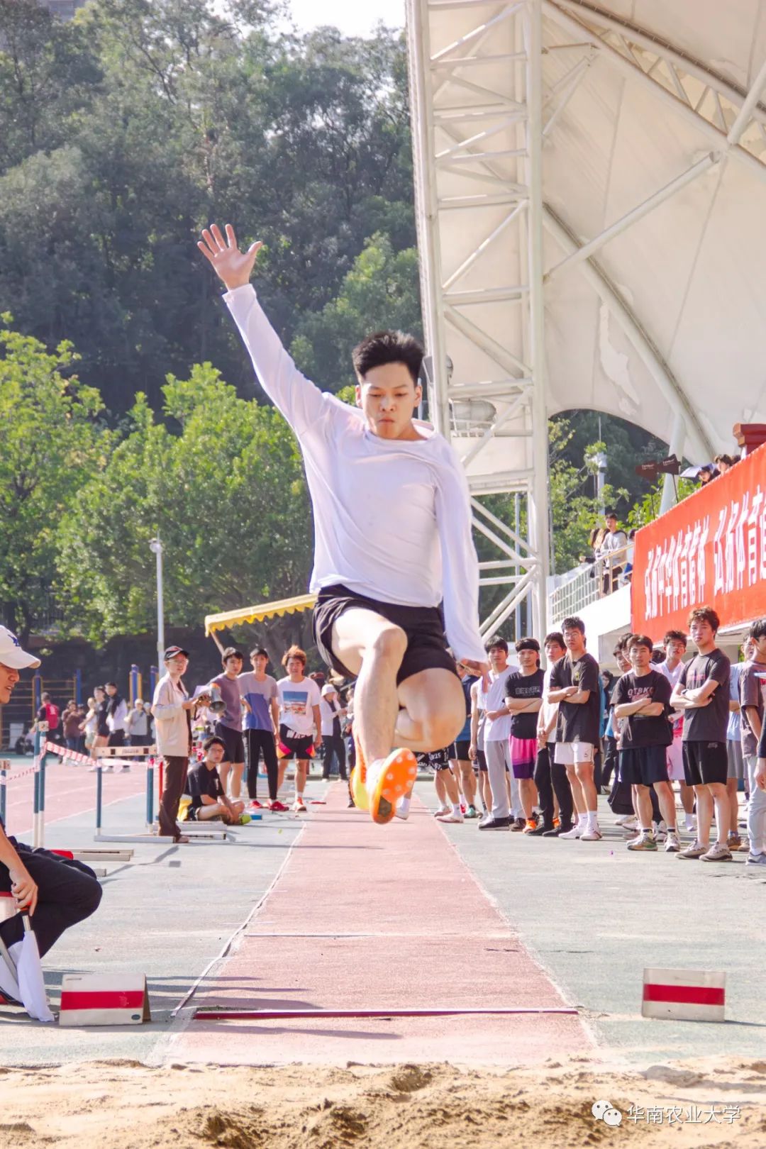 运动员们拼尽全力，场面震撼人心